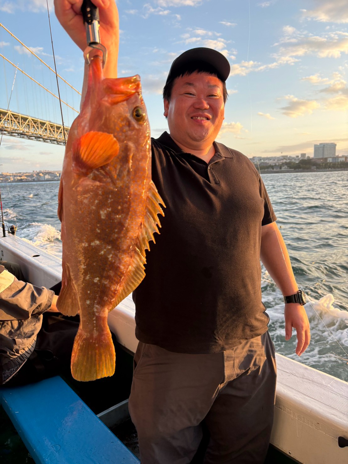 海蓮丸で釣れた[{'name': '鯛、アコウ', 'stat': '最大70cm'}]70cm