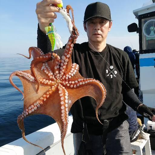 1091丸(忠岡)で釣れた[{'name': 'タコ', 'stat': '最大0.70kg · ２６匹'}]0.70kg