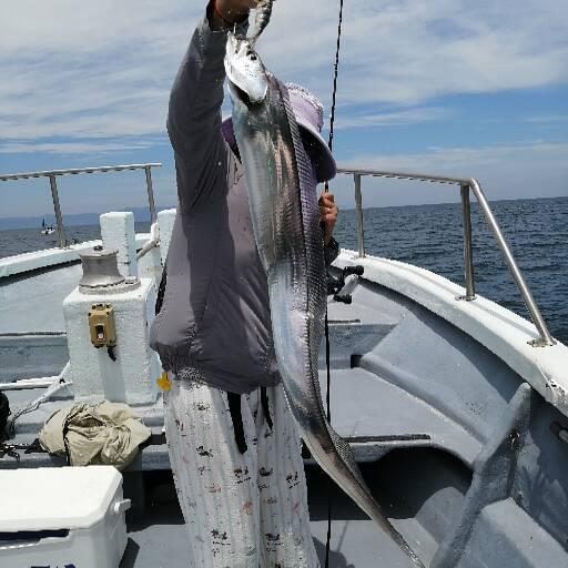 1091丸(忠岡)で釣れた[{'name': 'タチウオ', 'stat': '最大105cm · ３２匹'}]105cm