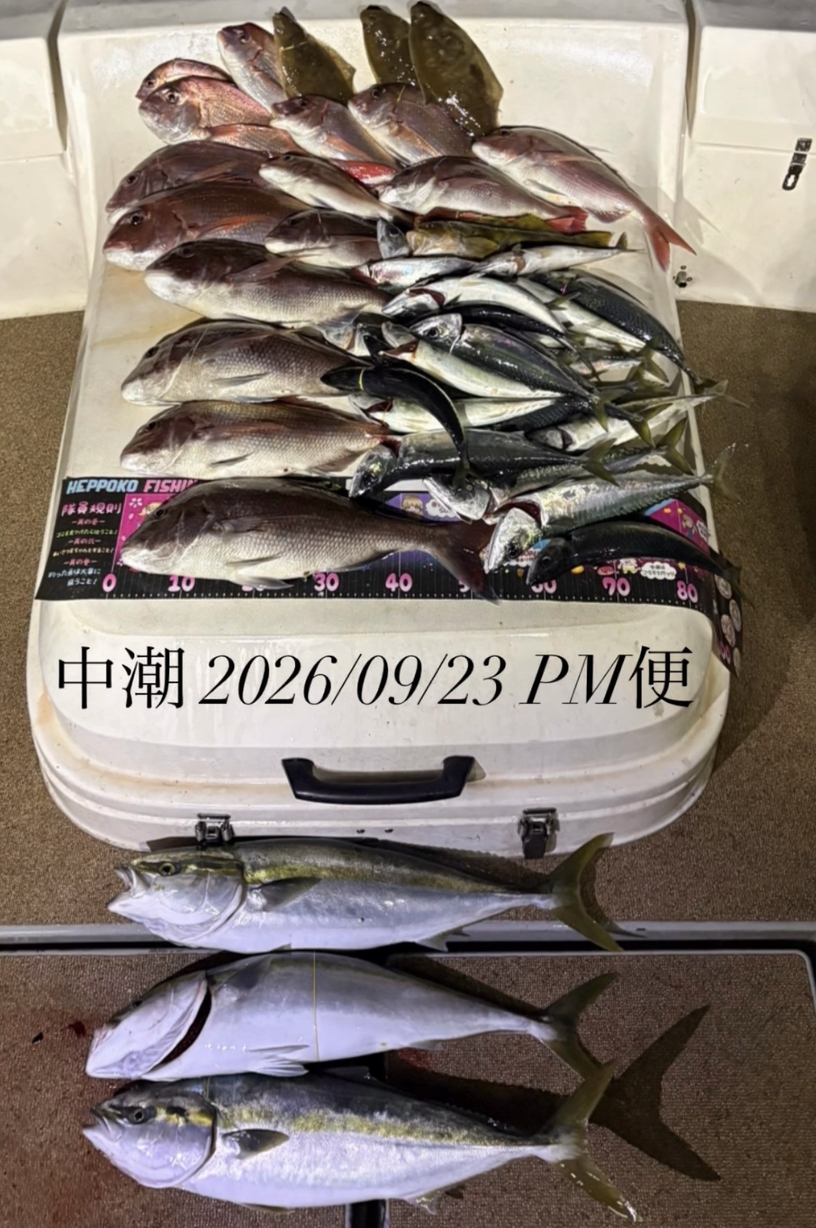 SEA CLUBで釣れた[{'name': 'マダイ', 'stat': ''}]