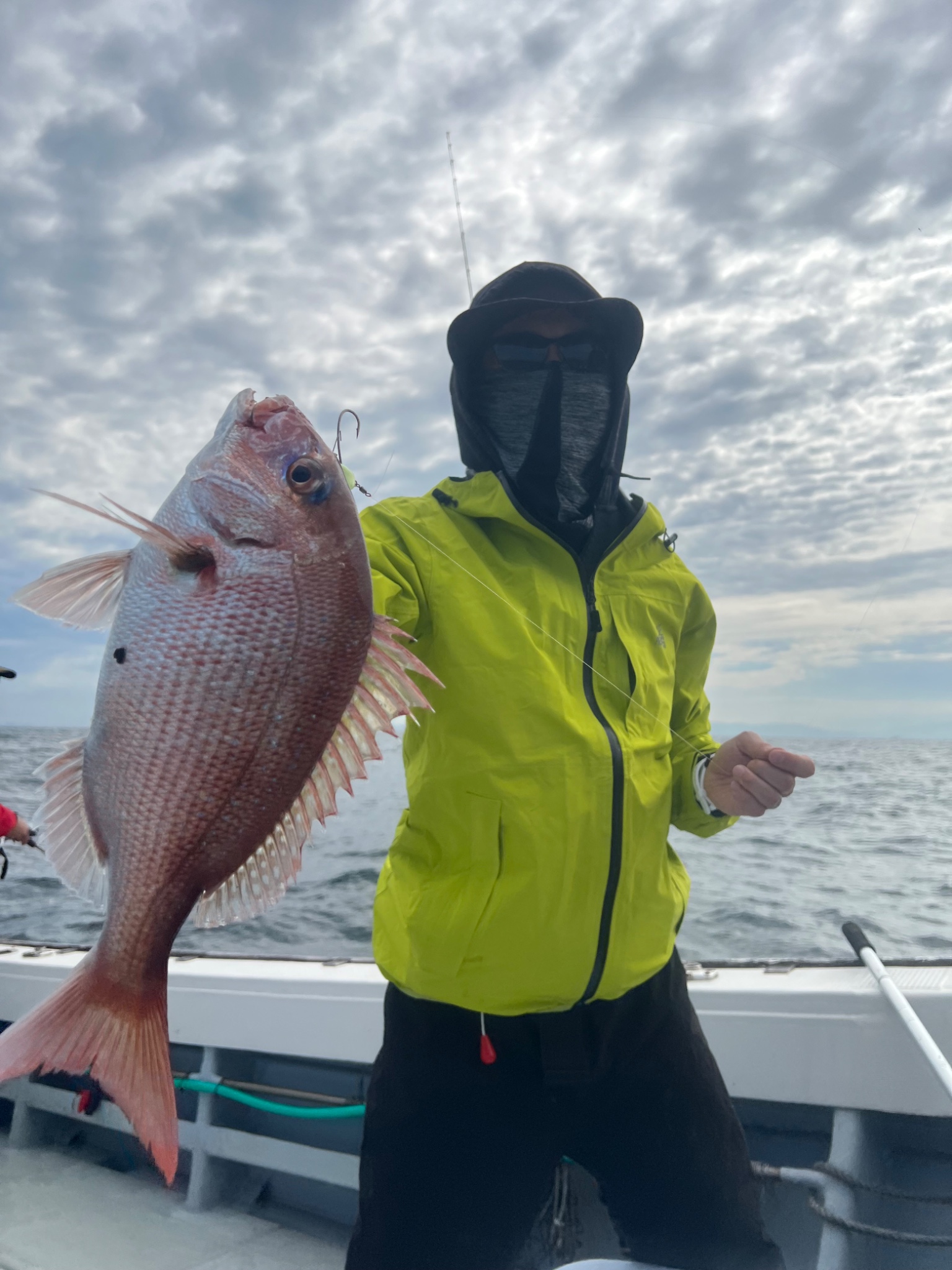 WHITE BASE FUKで釣れた[{'name': '真鯛', 'stat': '最大60cm'}]60cm