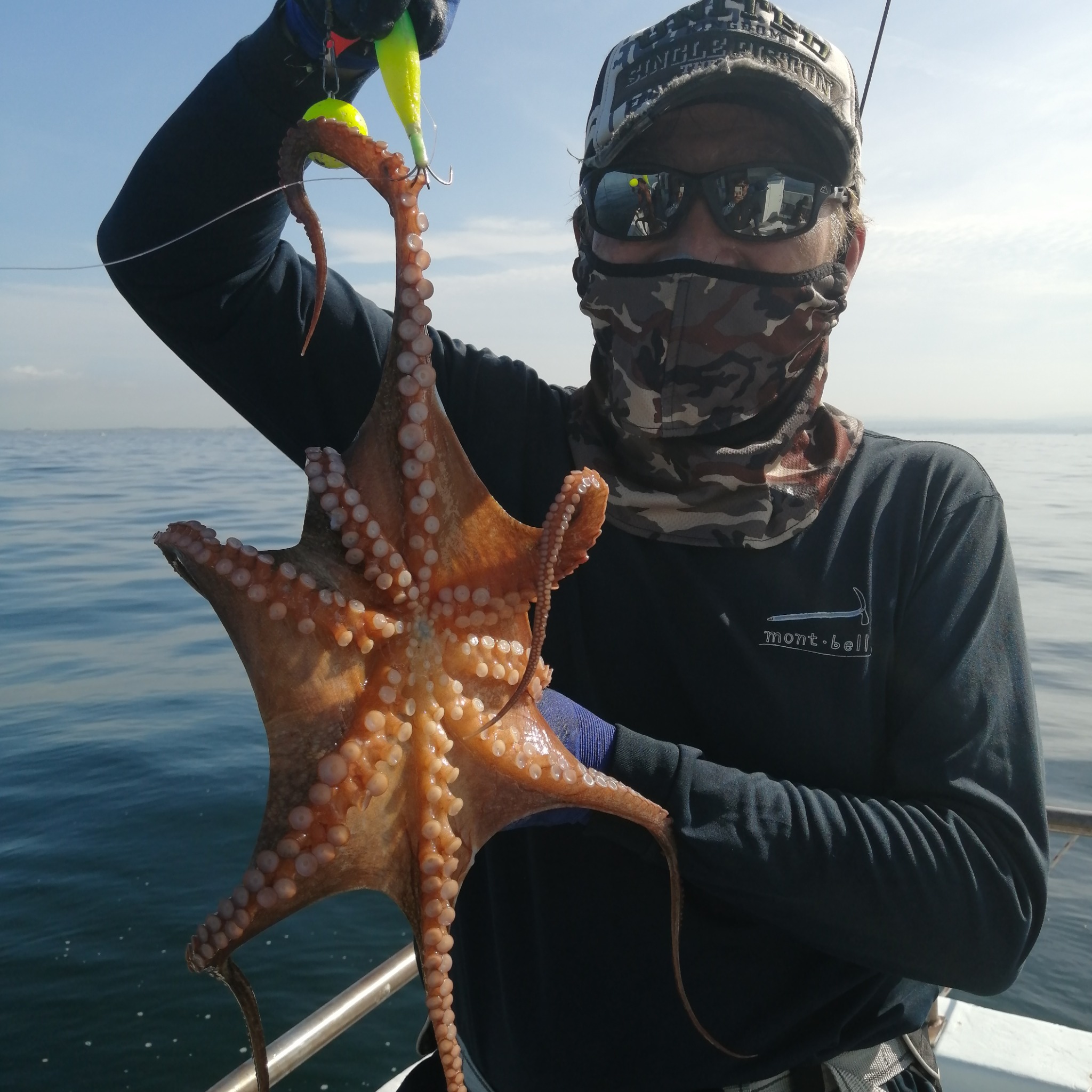 1091丸(忠岡)で釣れた[{'name': 'タコ', 'stat': '最大0.70kg · ２６匹'}]0.70kg