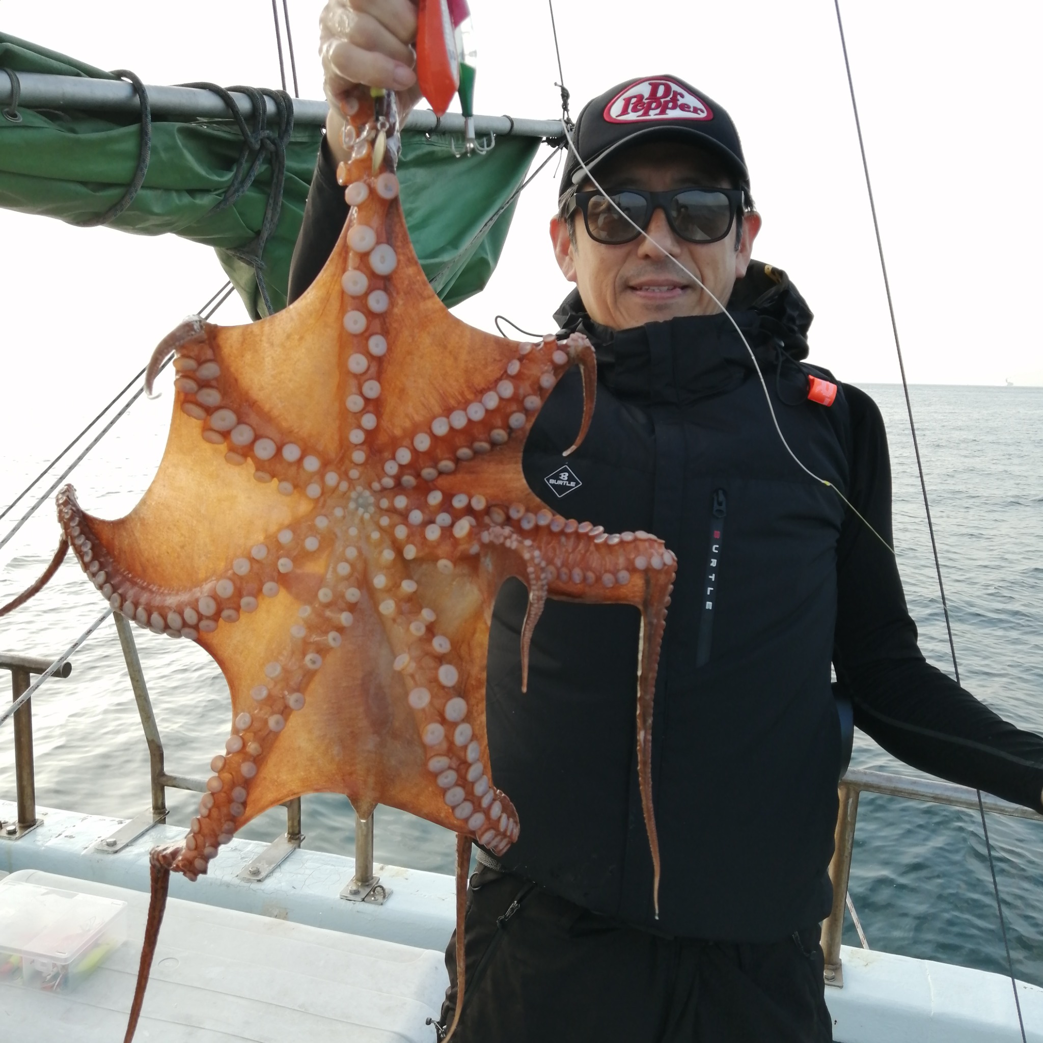 1091丸(忠岡)で釣れた[{'name': 'タコ', 'stat': '最大2.40kg'}]2.40kg