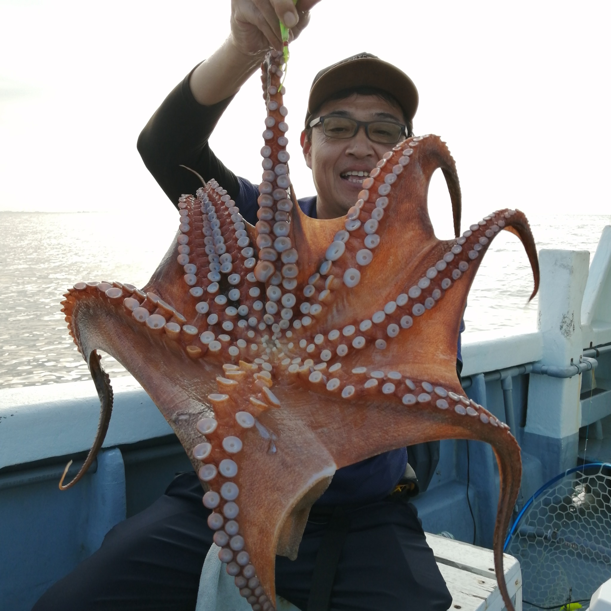 1091丸(忠岡)で釣れた[{'name': 'タコ', 'stat': '最大2.40kg'}]2.40kg