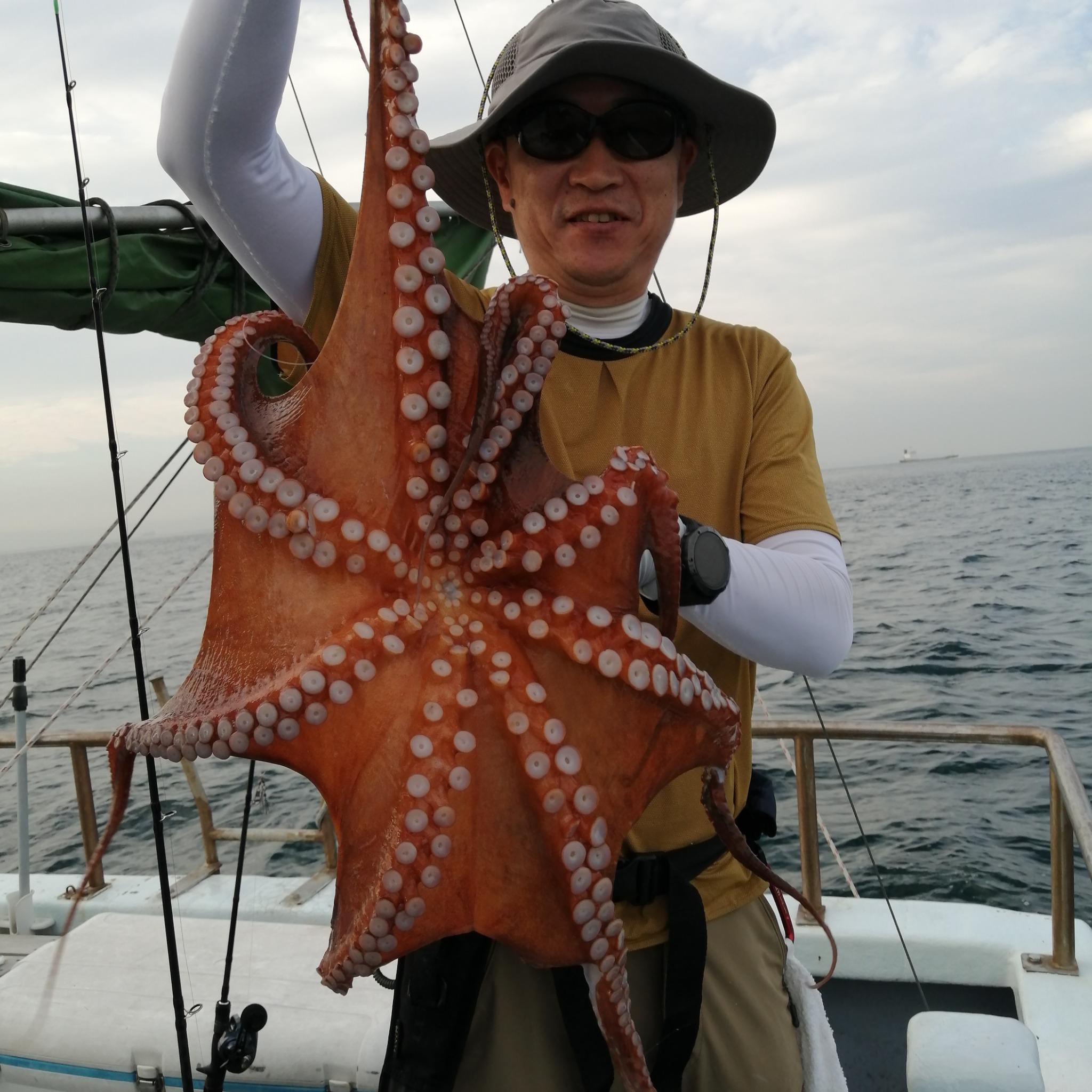 1091丸(忠岡)で釣れた[{'name': 'タコ', 'stat': '最大3.80kg'}]3.80kg