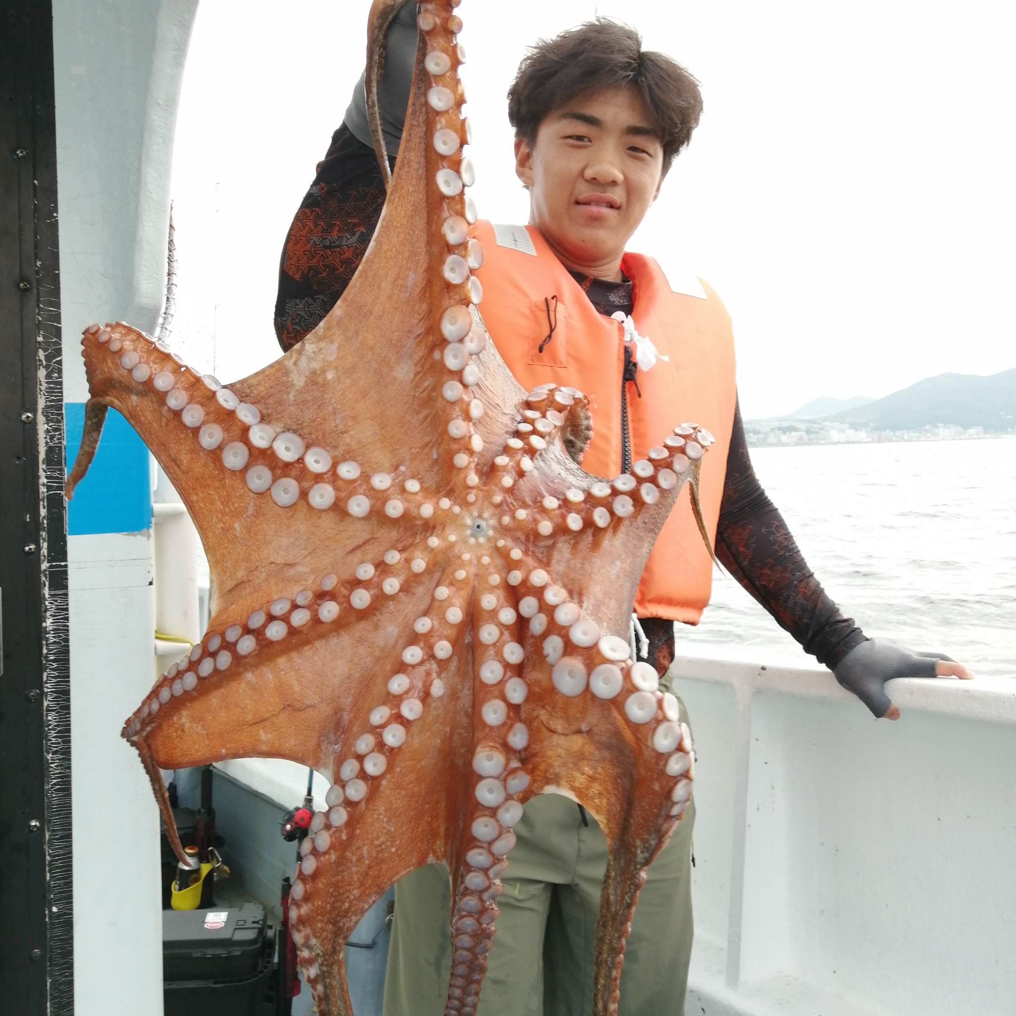 1091丸(忠岡)で釣れた[{'name': 'タコ', 'stat': '最大3.80kg'}]3.80kg