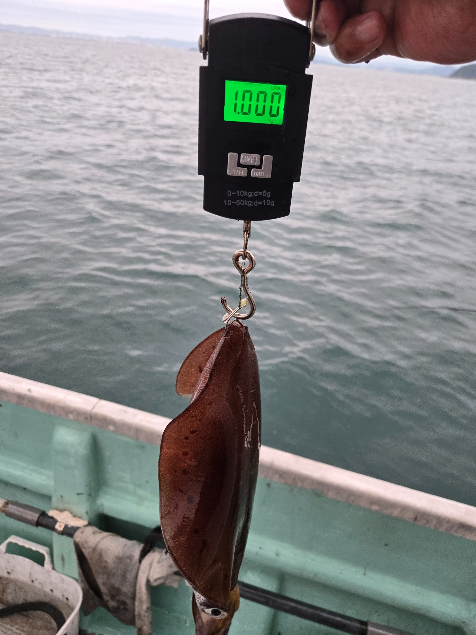 うぇるふぇあフィッシングで釣れた[{'name': 'アオリイカ', 'stat': '最大1.00kg · 18'}, {'name': 'コウイカ', 'stat': '2'}]1.00kg