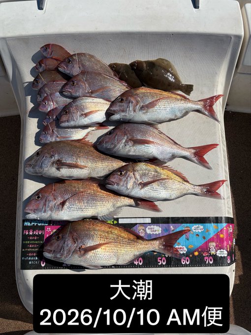 SEA CLUBで釣れた[{'name': 'マダイ', 'stat': '最大60cm · 15'}]60cm