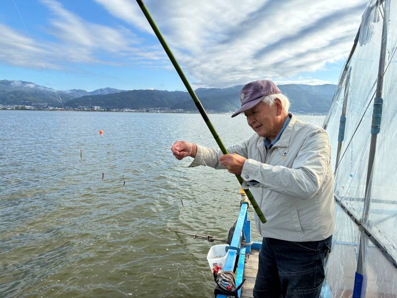 ワカサギ釣り ドーム船 西浜丸で釣れた[{'name': 'ワカサギ', 'stat': ''}]
