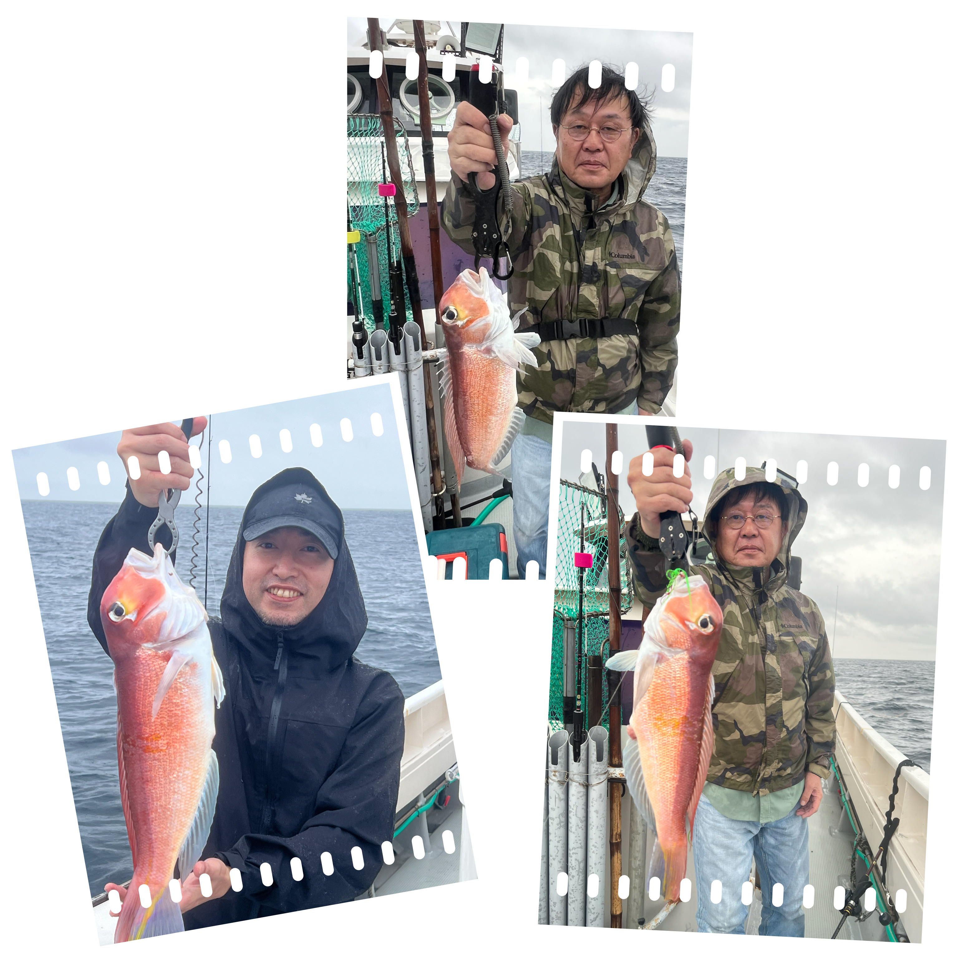 WHITE BASE FUKで釣れた[{'name': '甘鯛', 'stat': '最大1.50kg · 4'}, {'name': '真鯛', 'stat': '最大3.00kg · 4'}]1.50kg