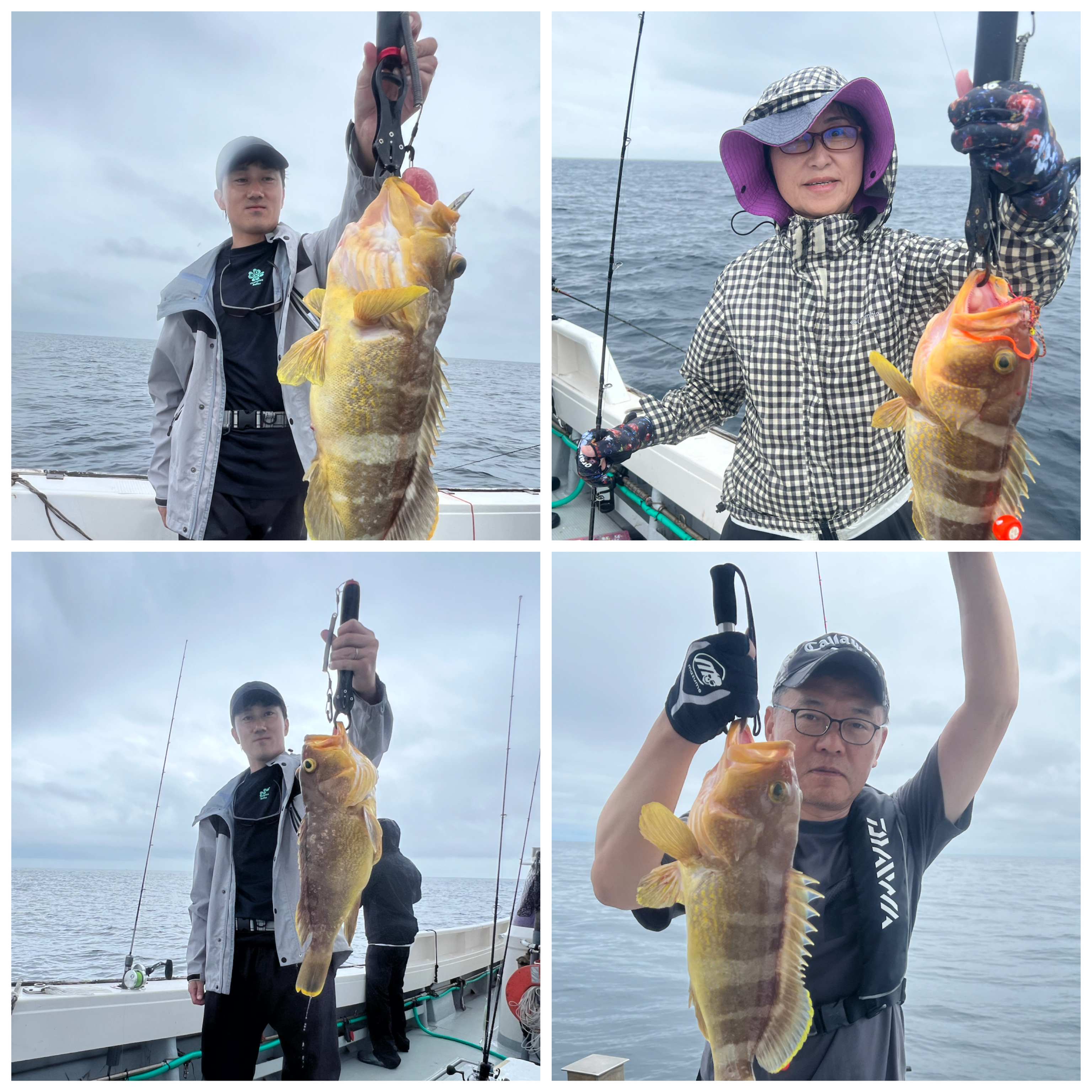 WHITE BASE FUKで釣れた[{'name': '甘鯛', 'stat': '最大1.50kg · 4'}, {'name': '真鯛', 'stat': '最大3.00kg · 4'}]1.50kg