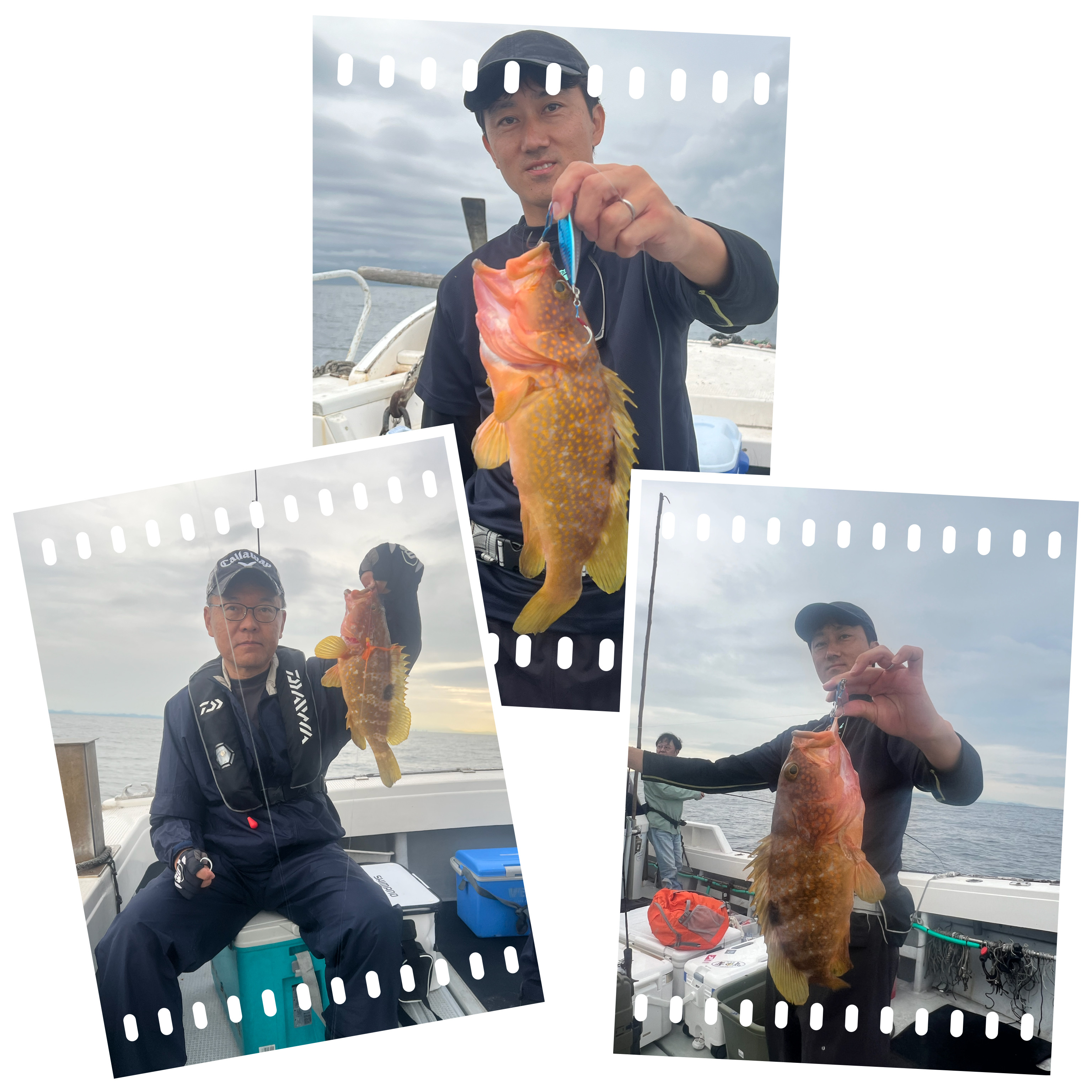 WHITE BASE FUKで釣れた[{'name': '甘鯛', 'stat': '最大1.50kg · 4'}, {'name': '真鯛', 'stat': '最大3.00kg · 4'}]1.50kg