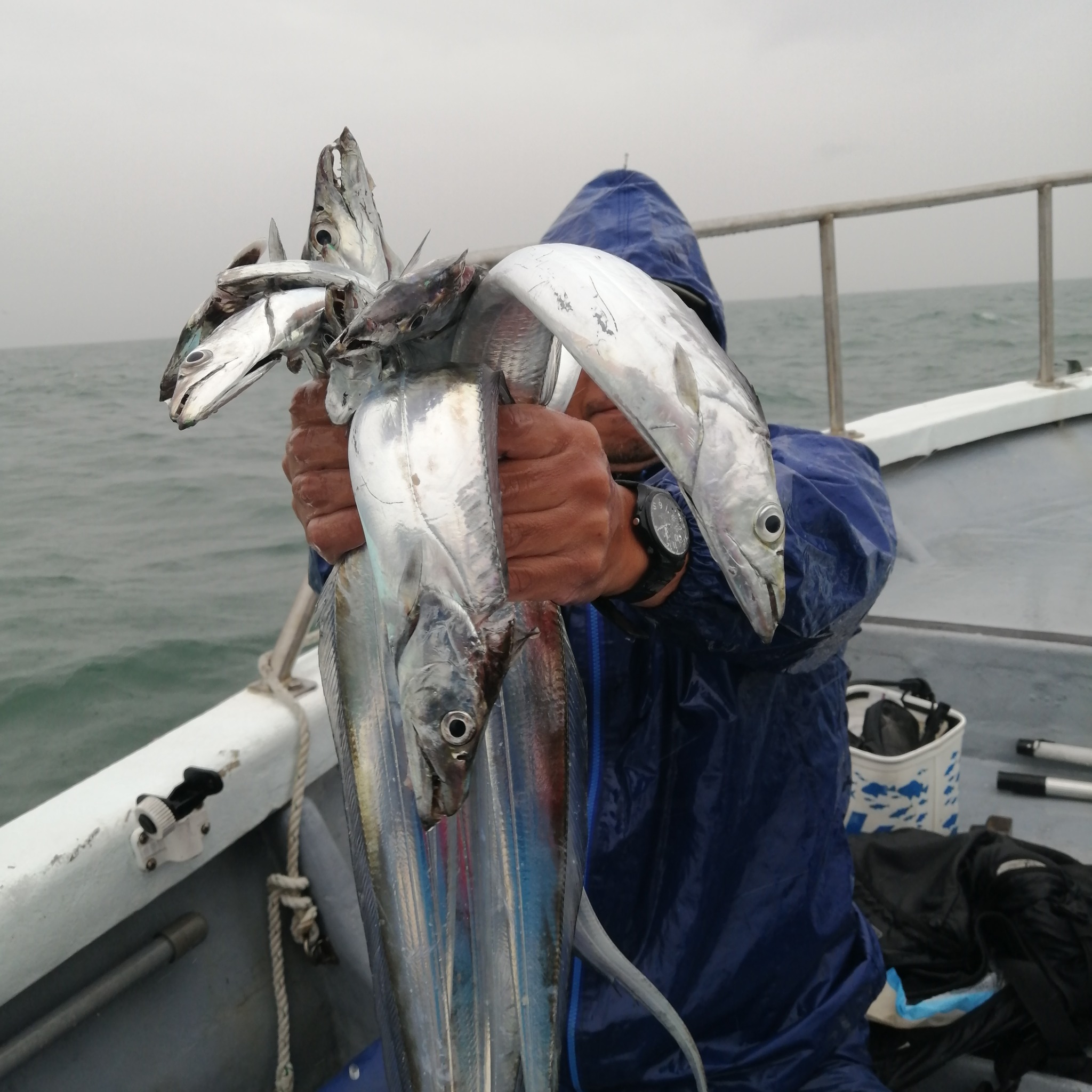 1091丸(忠岡)のタチウオ釣果 95cm（10/4）