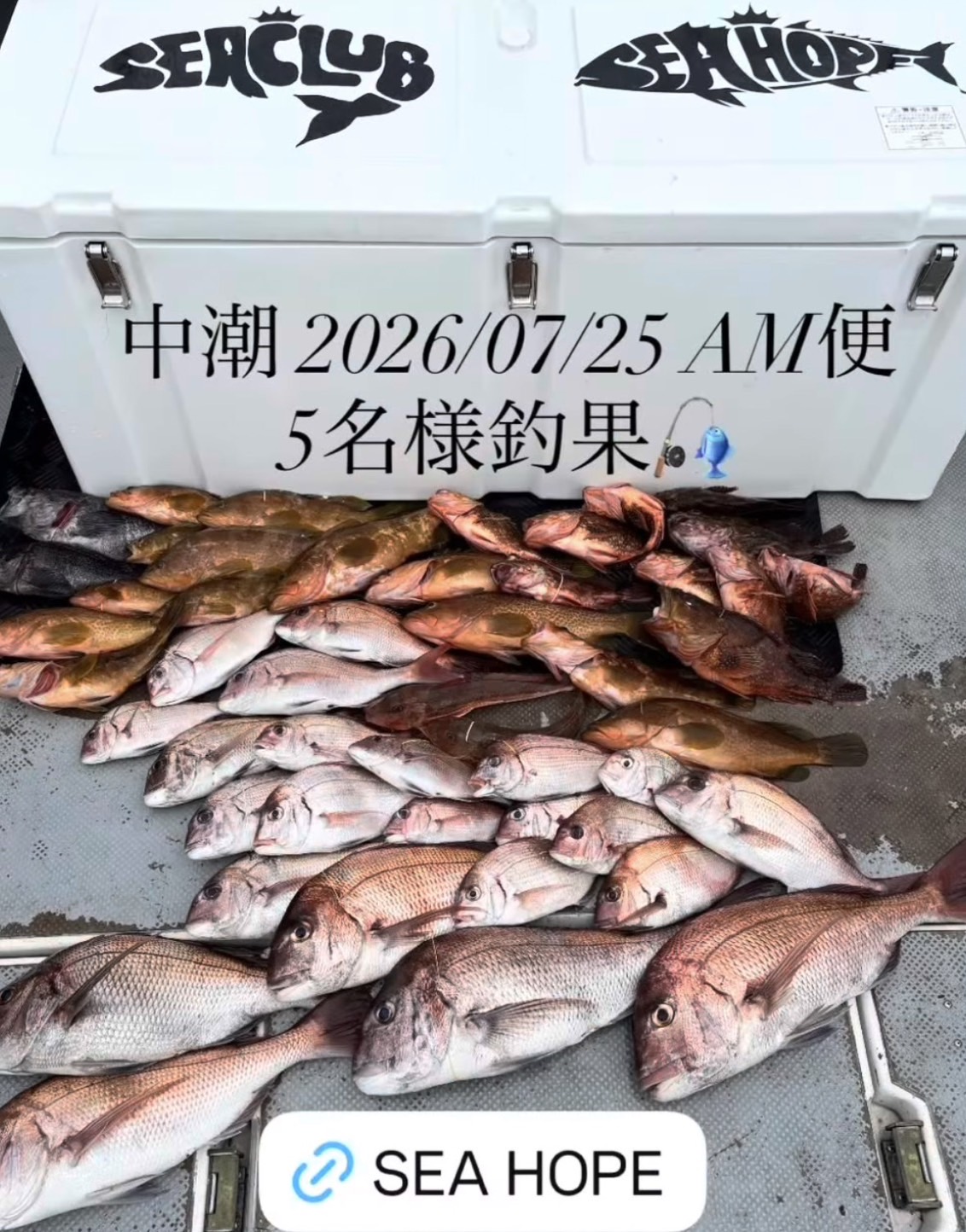 SEA HOPEで釣れた[{'name': '根魚', 'stat': ''}]