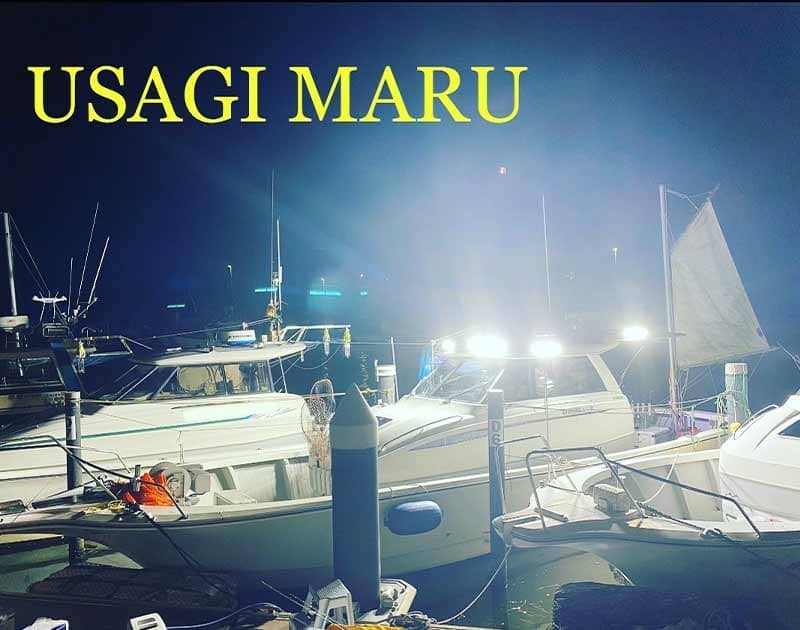 釣船「金沢港うさぎ丸」