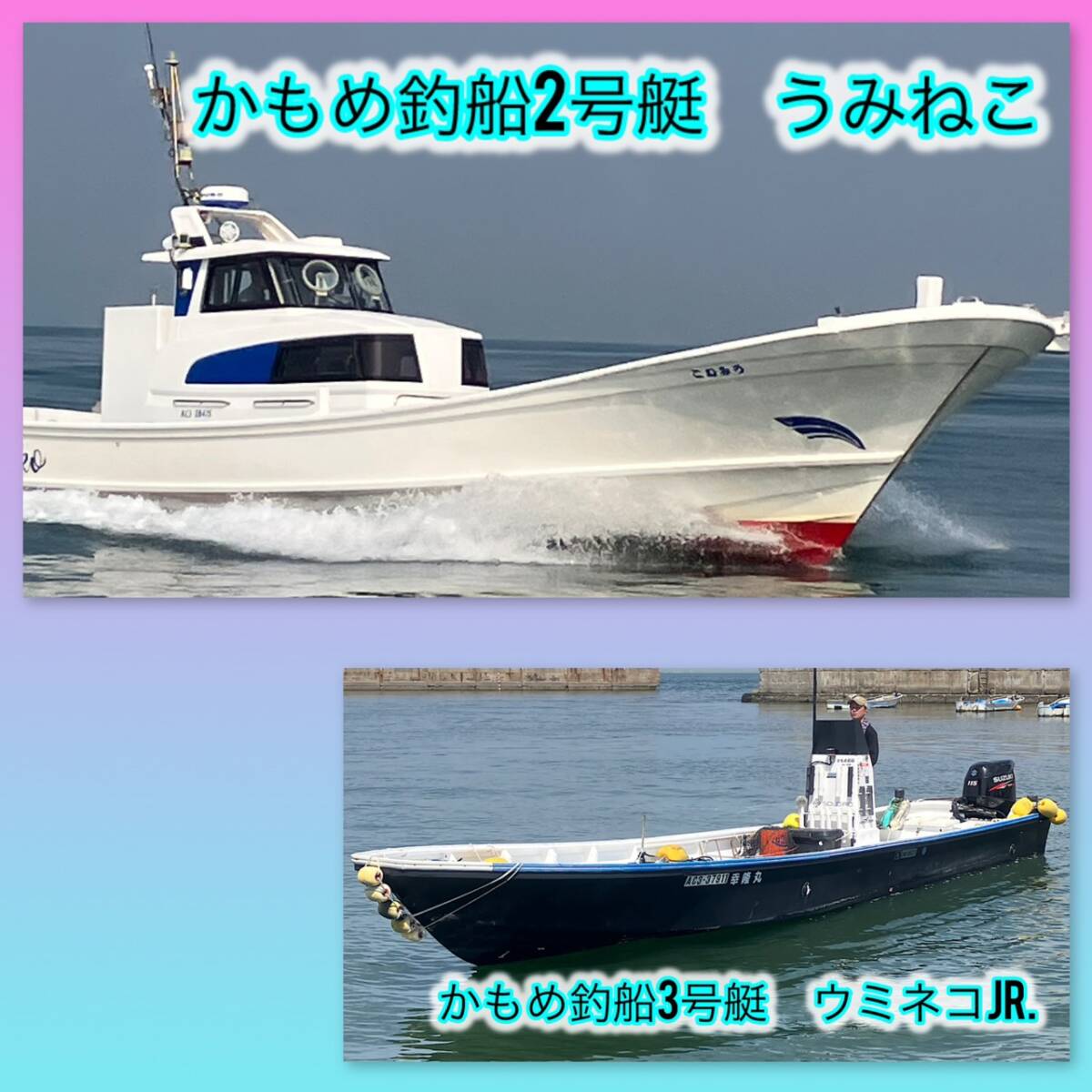 知多半島・野間発、少人数でも楽しみやすい釣船「うみねこ」です